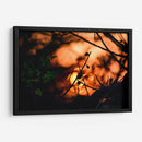 Abstraction II - PhotoVicz | Cuadro decorativo de Canvas Lab