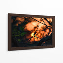 Abstraction II - PhotoVicz | Cuadro decorativo de Canvas Lab