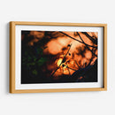 Abstraction II - PhotoVicz | Cuadro decorativo de Canvas Lab