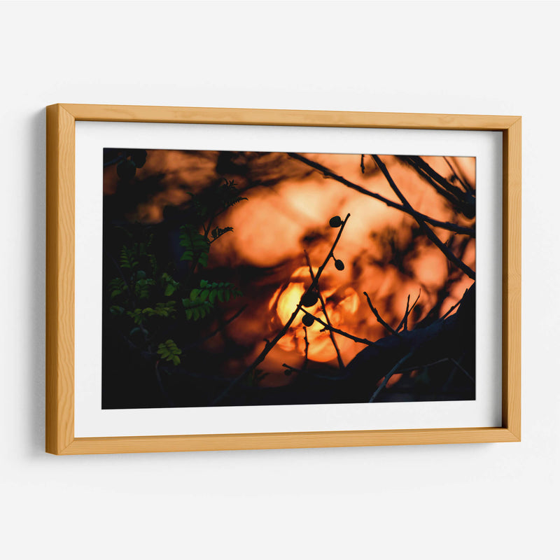 Abstraction II - PhotoVicz | Cuadro decorativo de Canvas Lab