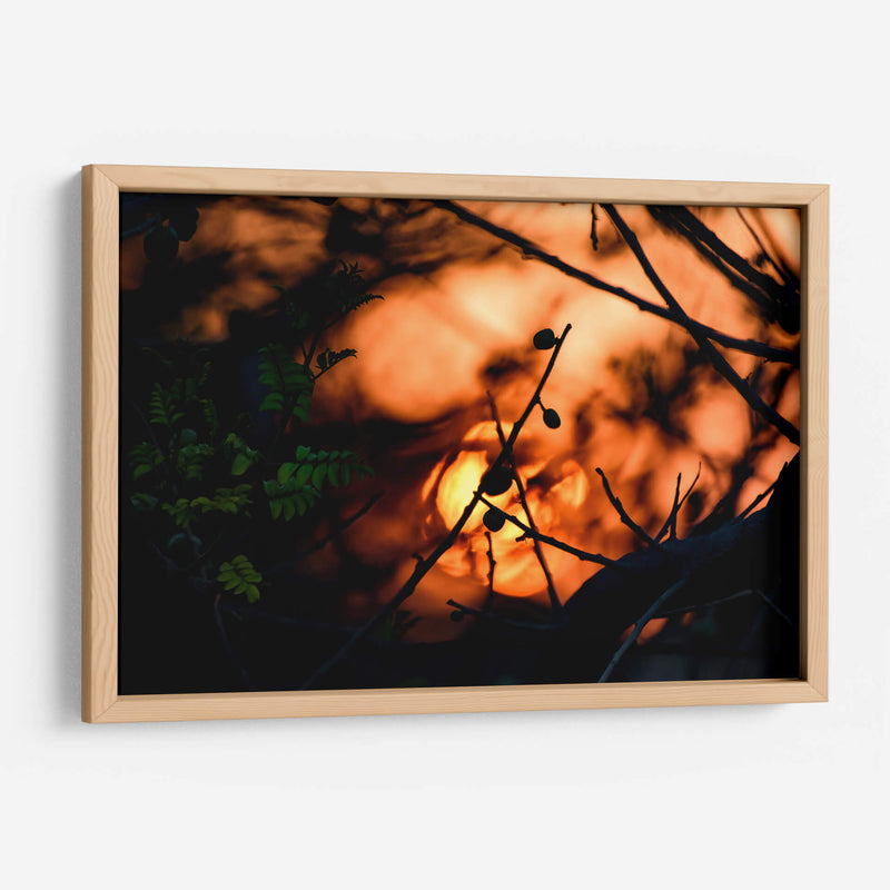 Abstraction II - PhotoVicz | Cuadro decorativo de Canvas Lab