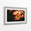 Abstraction II - PhotoVicz | Cuadro decorativo de Canvas Lab