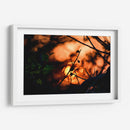 Abstraction II - PhotoVicz | Cuadro decorativo de Canvas Lab