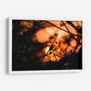 Abstraction II - PhotoVicz | Cuadro decorativo de Canvas Lab