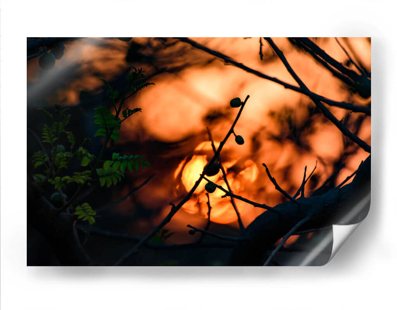 Abstraction II - PhotoVicz | Cuadro decorativo de Canvas Lab