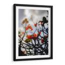 After the Storm - PhotoVicz | Cuadro decorativo de Canvas Lab