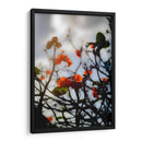 After the Storm - PhotoVicz | Cuadro decorativo de Canvas Lab