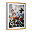 After the Storm - PhotoVicz | Cuadro decorativo de Canvas Lab