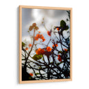 After the Storm - PhotoVicz | Cuadro decorativo de Canvas Lab