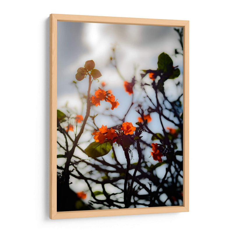 After the Storm - PhotoVicz | Cuadro decorativo de Canvas Lab