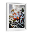 After the Storm - PhotoVicz | Cuadro decorativo de Canvas Lab