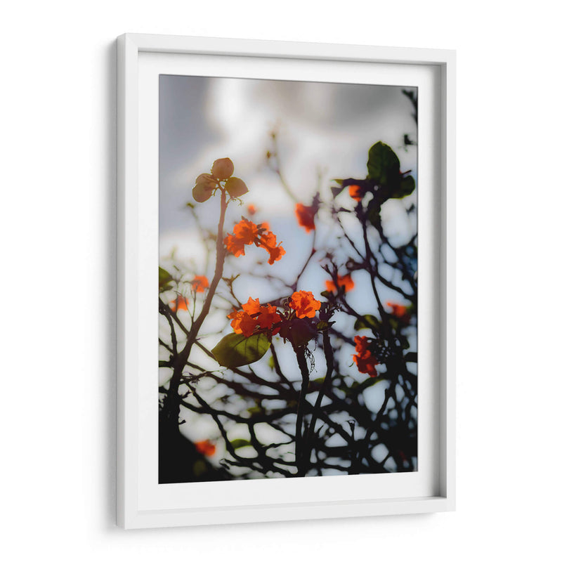 After the Storm - PhotoVicz | Cuadro decorativo de Canvas Lab