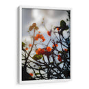 After the Storm - PhotoVicz | Cuadro decorativo de Canvas Lab