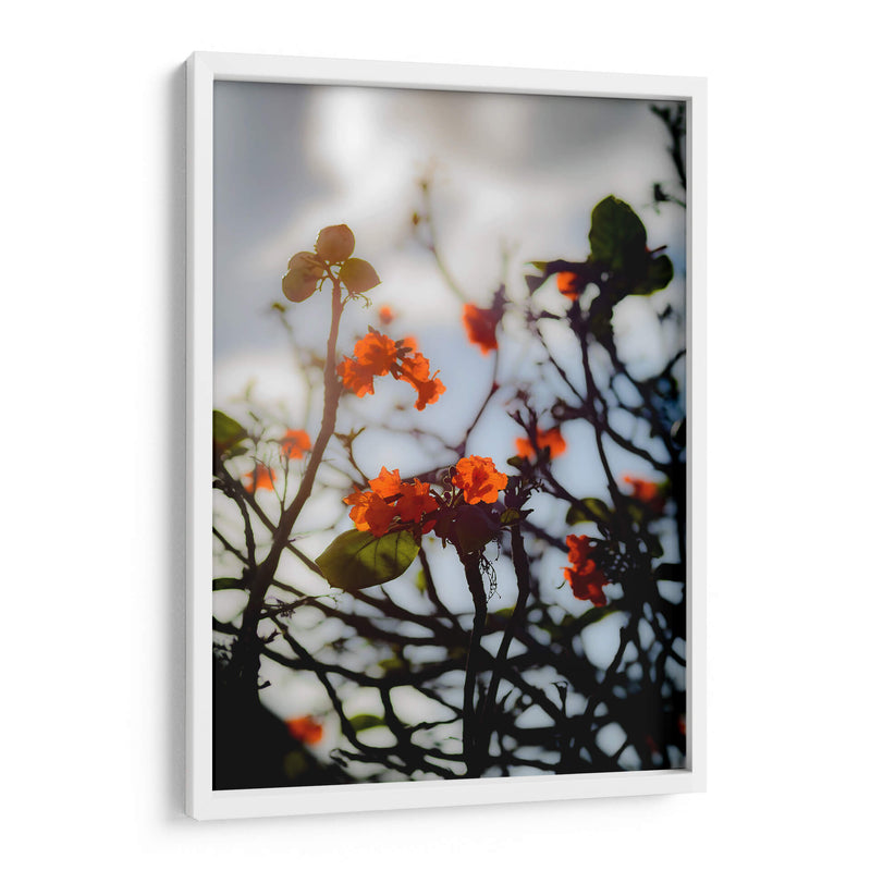 After the Storm - PhotoVicz | Cuadro decorativo de Canvas Lab