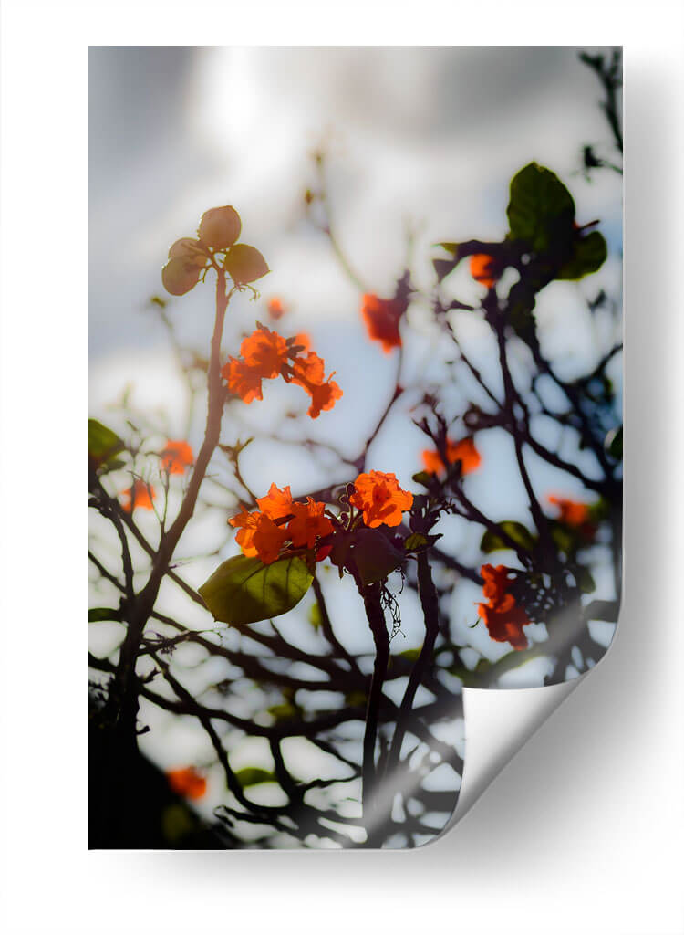 After the Storm - PhotoVicz | Cuadro decorativo de Canvas Lab