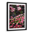 Coexistence - PhotoVicz | Cuadro decorativo de Canvas Lab