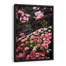 Coexistence - PhotoVicz | Cuadro decorativo de Canvas Lab