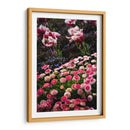 Coexistence - PhotoVicz | Cuadro decorativo de Canvas Lab