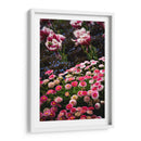 Coexistence - PhotoVicz | Cuadro decorativo de Canvas Lab