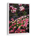 Coexistence - PhotoVicz | Cuadro decorativo de Canvas Lab