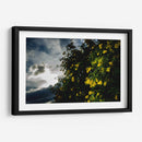 Contrast - PhotoVicz | Cuadro decorativo de Canvas Lab