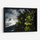 Contrast - PhotoVicz | Cuadro decorativo de Canvas Lab