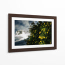 Contrast - PhotoVicz | Cuadro decorativo de Canvas Lab