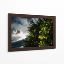 Contrast - PhotoVicz | Cuadro decorativo de Canvas Lab
