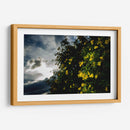 Contrast - PhotoVicz | Cuadro decorativo de Canvas Lab