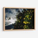 Contrast - PhotoVicz | Cuadro decorativo de Canvas Lab