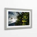 Contrast - PhotoVicz | Cuadro decorativo de Canvas Lab