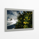 Contrast - PhotoVicz | Cuadro decorativo de Canvas Lab