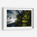 Contrast - PhotoVicz | Cuadro decorativo de Canvas Lab