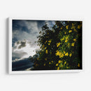 Contrast - PhotoVicz | Cuadro decorativo de Canvas Lab