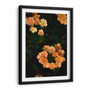 Fluorescence - PhotoVicz | Cuadro decorativo de Canvas Lab