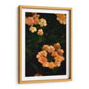 Fluorescence - PhotoVicz | Cuadro decorativo de Canvas Lab