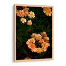 Fluorescence - PhotoVicz | Cuadro decorativo de Canvas Lab