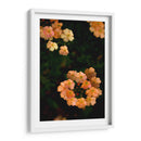 Fluorescence - PhotoVicz | Cuadro decorativo de Canvas Lab