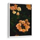 Fluorescence - PhotoVicz | Cuadro decorativo de Canvas Lab