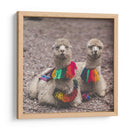 Alpaca - Perú - Emmanuel Ramírez | Cuadro decorativo de Canvas Lab