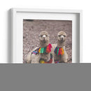 Alpaca - Perú - Emmanuel Ramírez | Cuadro decorativo de Canvas Lab