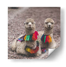 Alpaca - Perú - Emmanuel Ramírez | Cuadro decorativo de Canvas Lab
