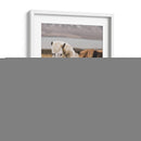 Caballo Islandés - Emmanuel Ramírez | Cuadro decorativo de Canvas Lab