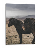 Caballos Nórdicos - Emmanuel Ramírez | Cuadro decorativo de Canvas Lab