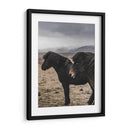 Caballos Nórdicos - Emmanuel Ramírez | Cuadro decorativo de Canvas Lab