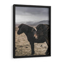 Caballos Nórdicos - Emmanuel Ramírez | Cuadro decorativo de Canvas Lab