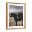 Caballos Nórdicos - Emmanuel Ramírez | Cuadro decorativo de Canvas Lab