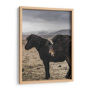 Caballos Nórdicos - Emmanuel Ramírez | Cuadro decorativo de Canvas Lab