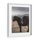 Caballos Nórdicos - Emmanuel Ramírez | Cuadro decorativo de Canvas Lab