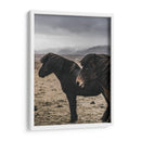 Caballos Nórdicos - Emmanuel Ramírez | Cuadro decorativo de Canvas Lab